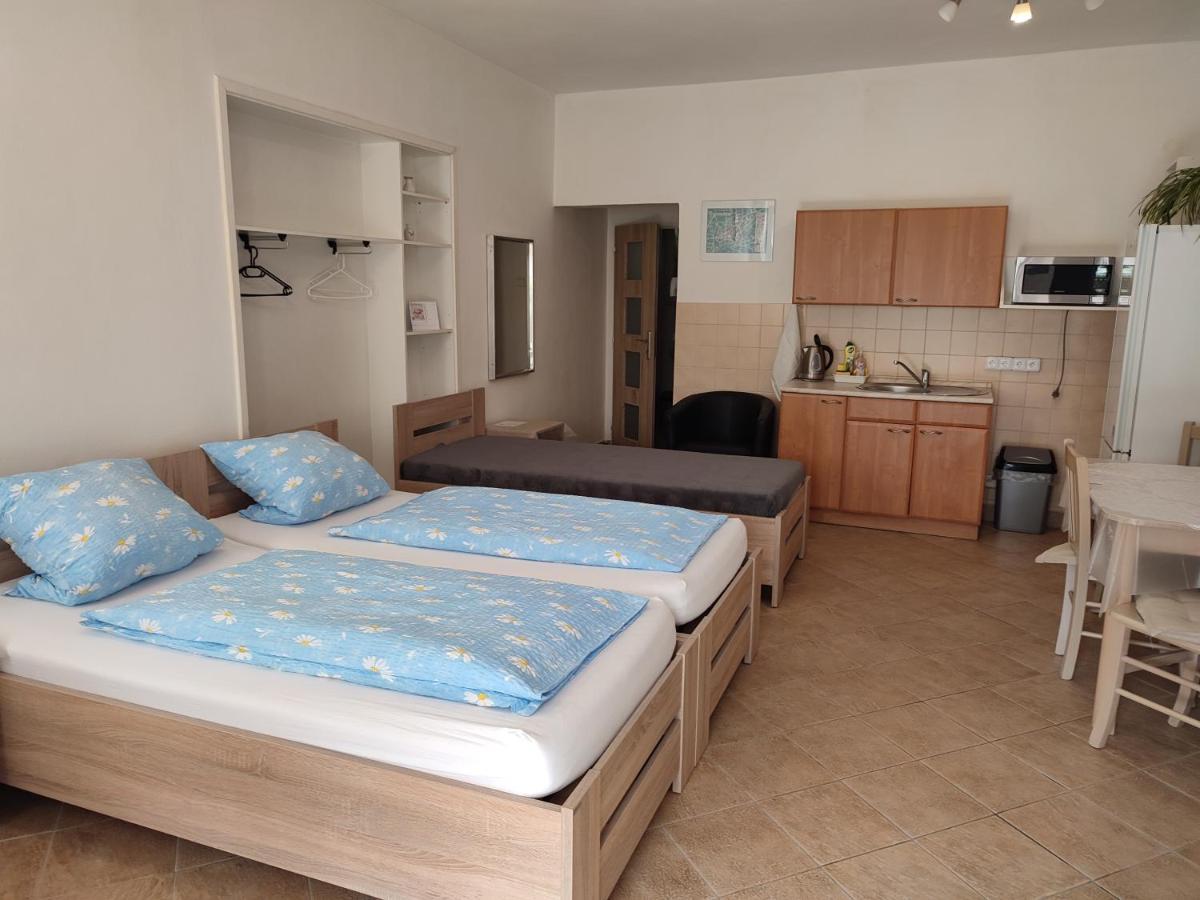 Apartmán Pension Dana Karaskova Kutná Hora Exteriér fotografie