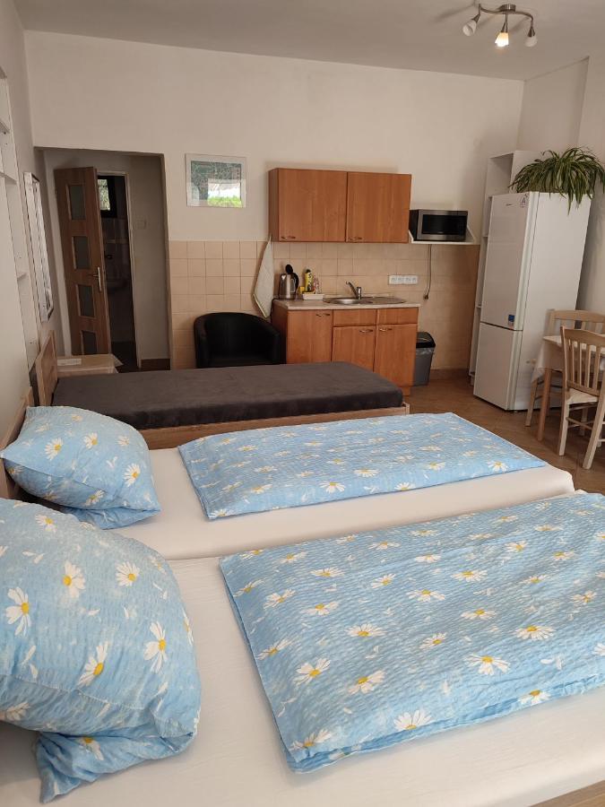 Apartmán Pension Dana Karaskova Kutná Hora Exteriér fotografie
