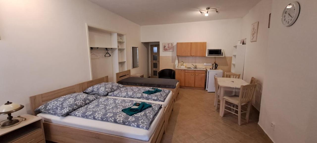 Apartmán Pension Dana Karaskova Kutná Hora Exteriér fotografie