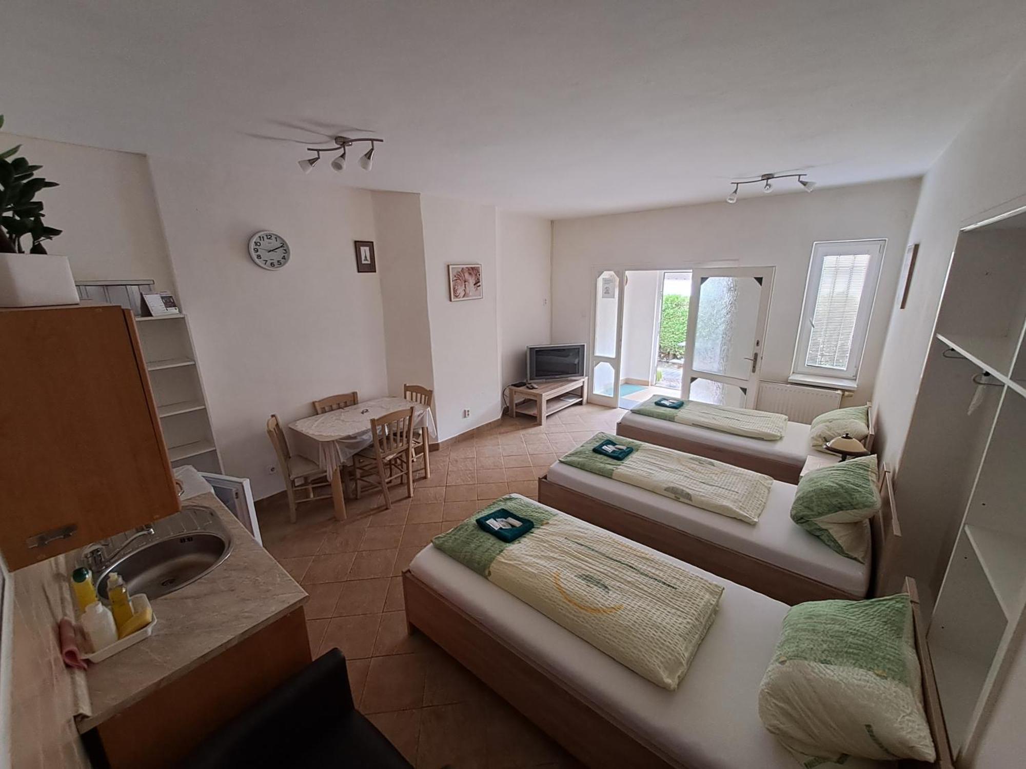 Apartmán Pension Dana Karaskova Kutná Hora Pokoj fotografie